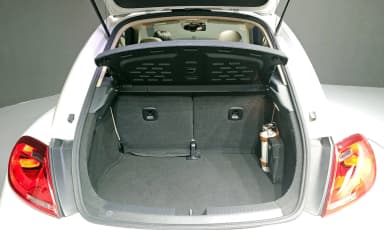 The Beetle