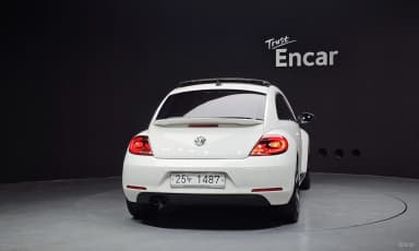 The Beetle