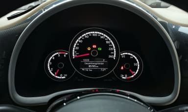 The Beetle