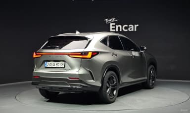 NX350h Gen 2