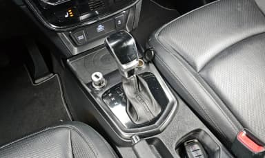Berry New Tivoli