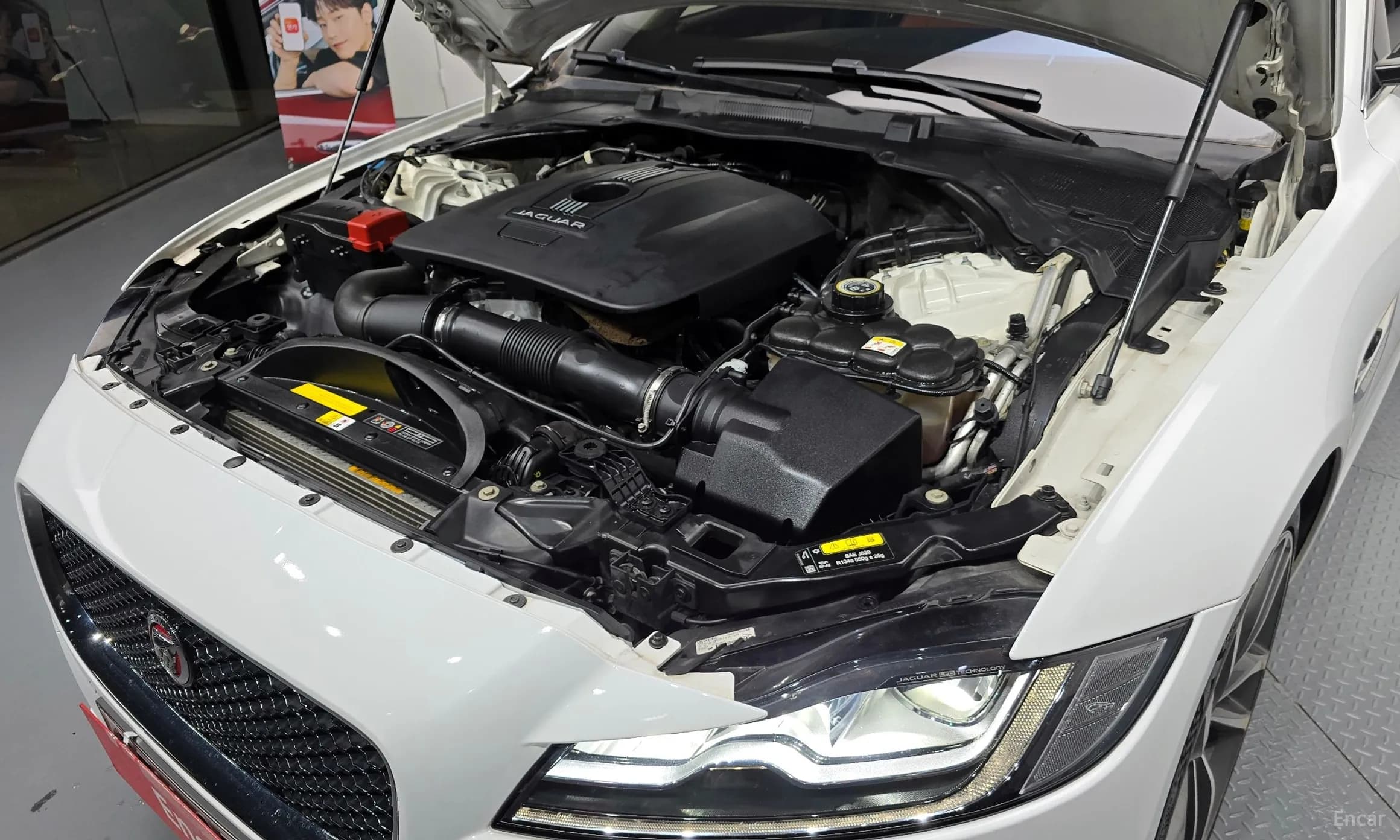 XF (x260)