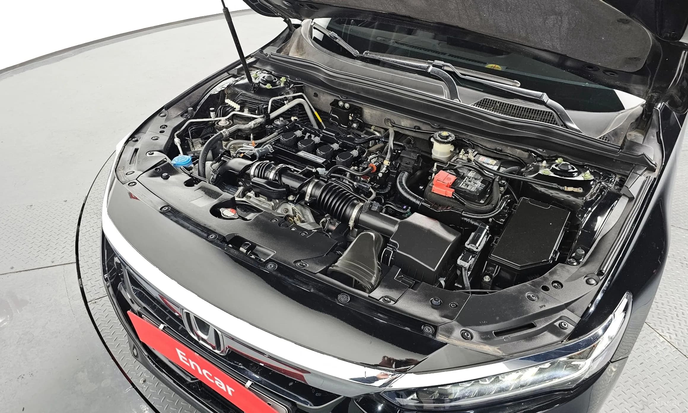 Accord 10th Generation