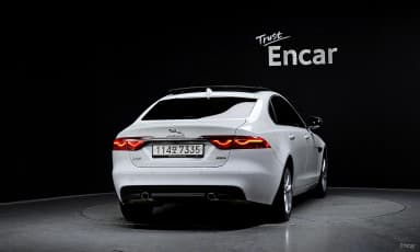 XF (x260)