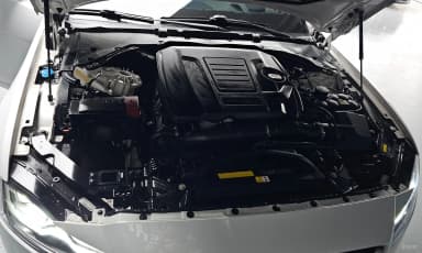 XF (x260)