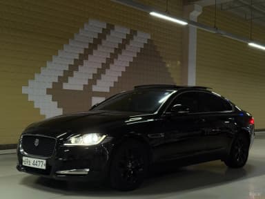 XF (x260)
