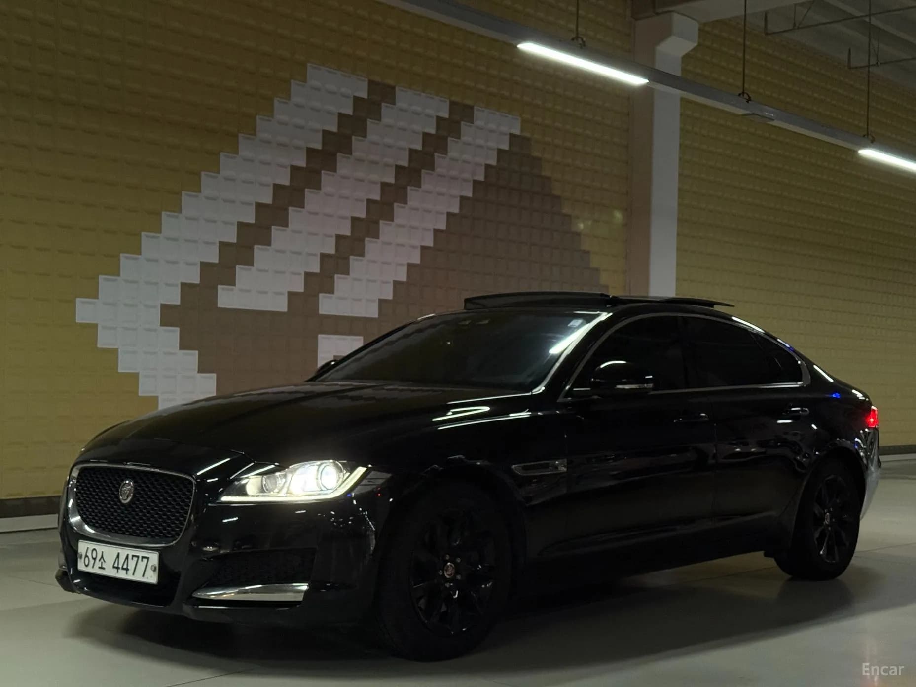 XF (x260)