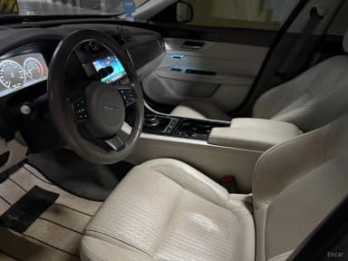 XF (x260)