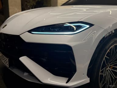 Urus
