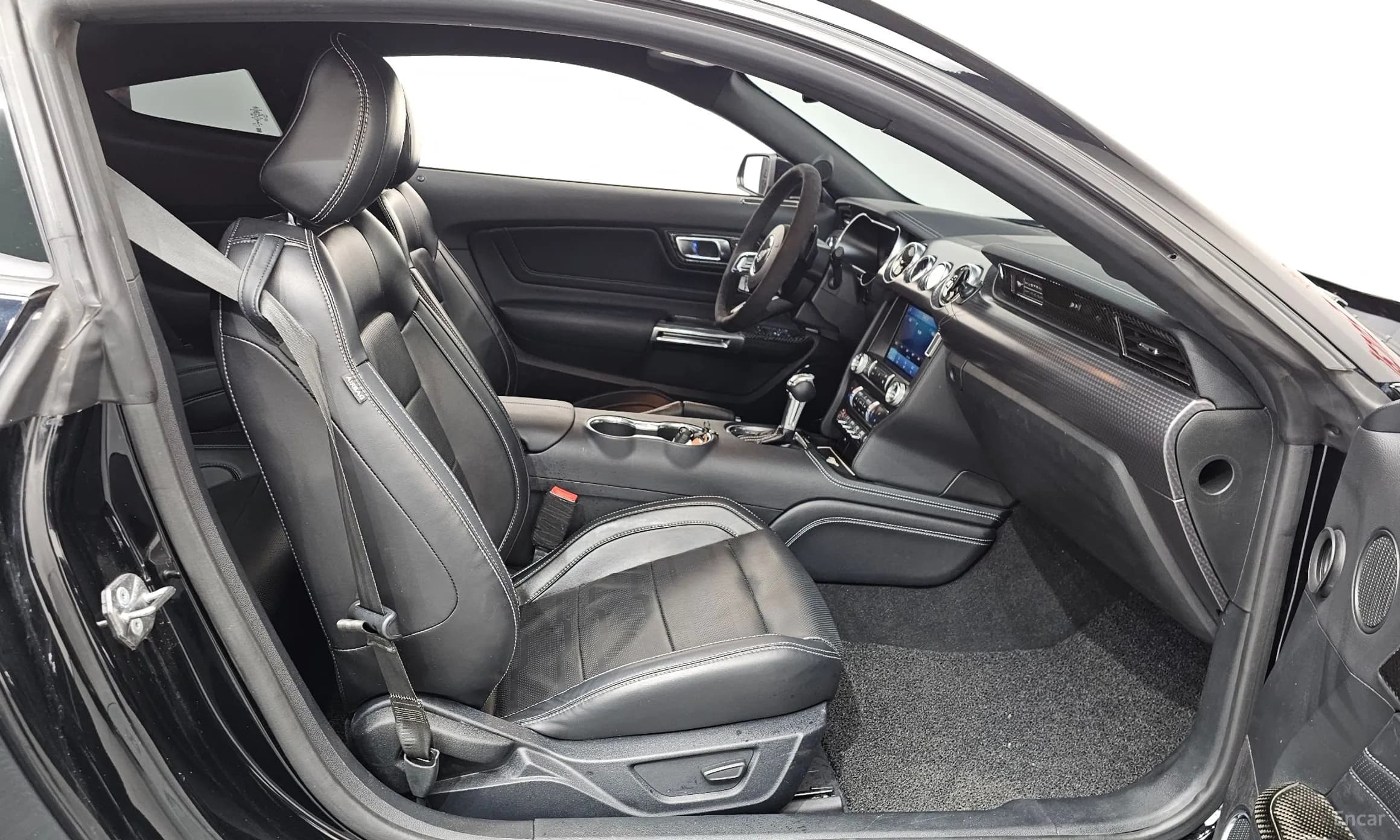 Mustang