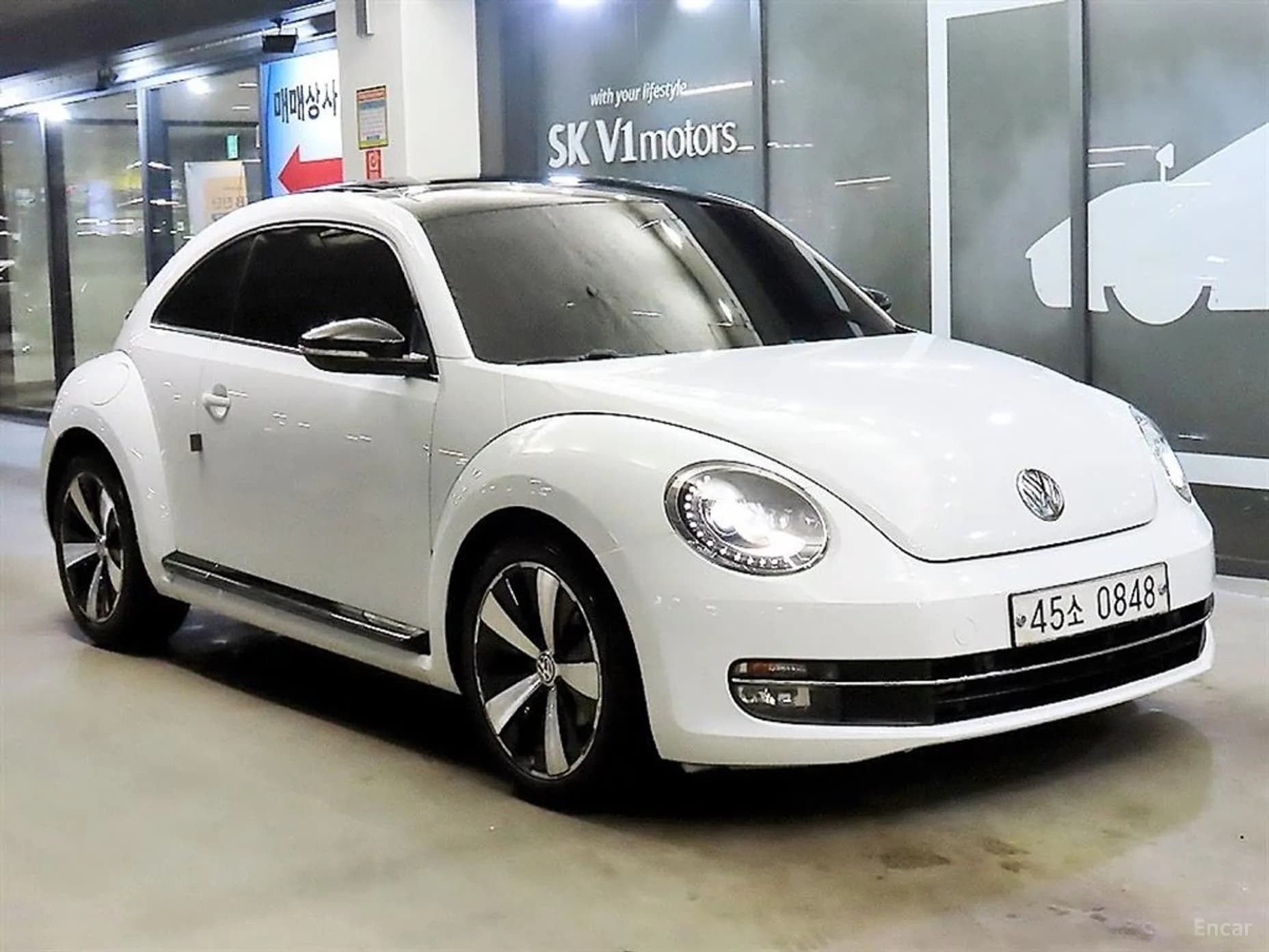 The Beetle