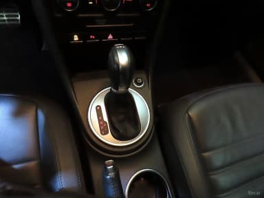 The Beetle