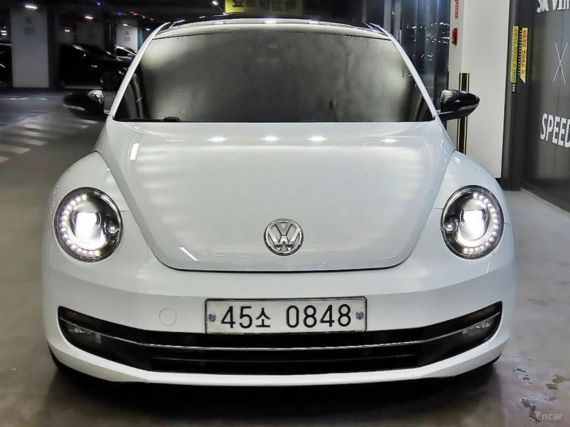 The Beetle