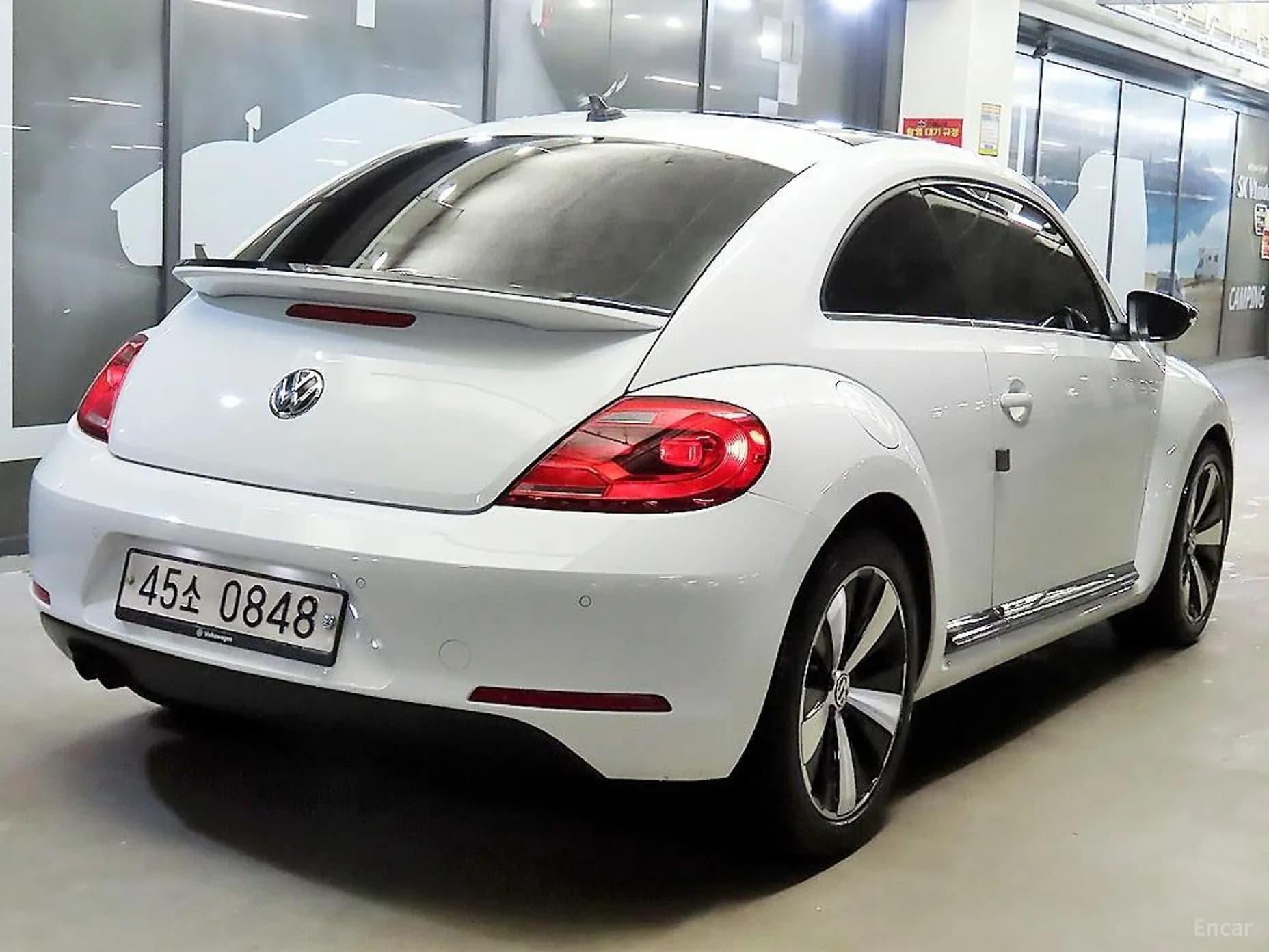 The Beetle