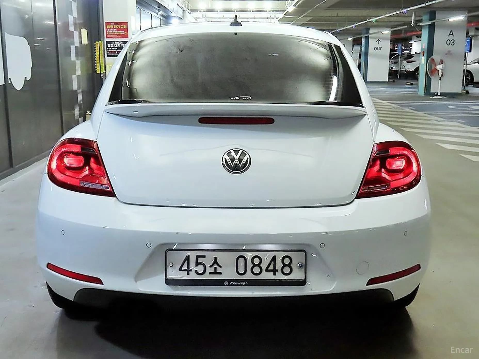 The Beetle