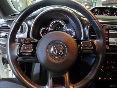 The Beetle