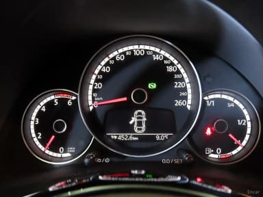The Beetle