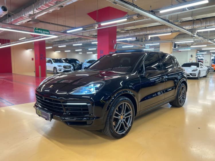 Cayenne (PO536)