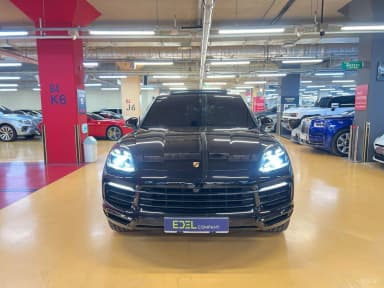 Cayenne (PO536)