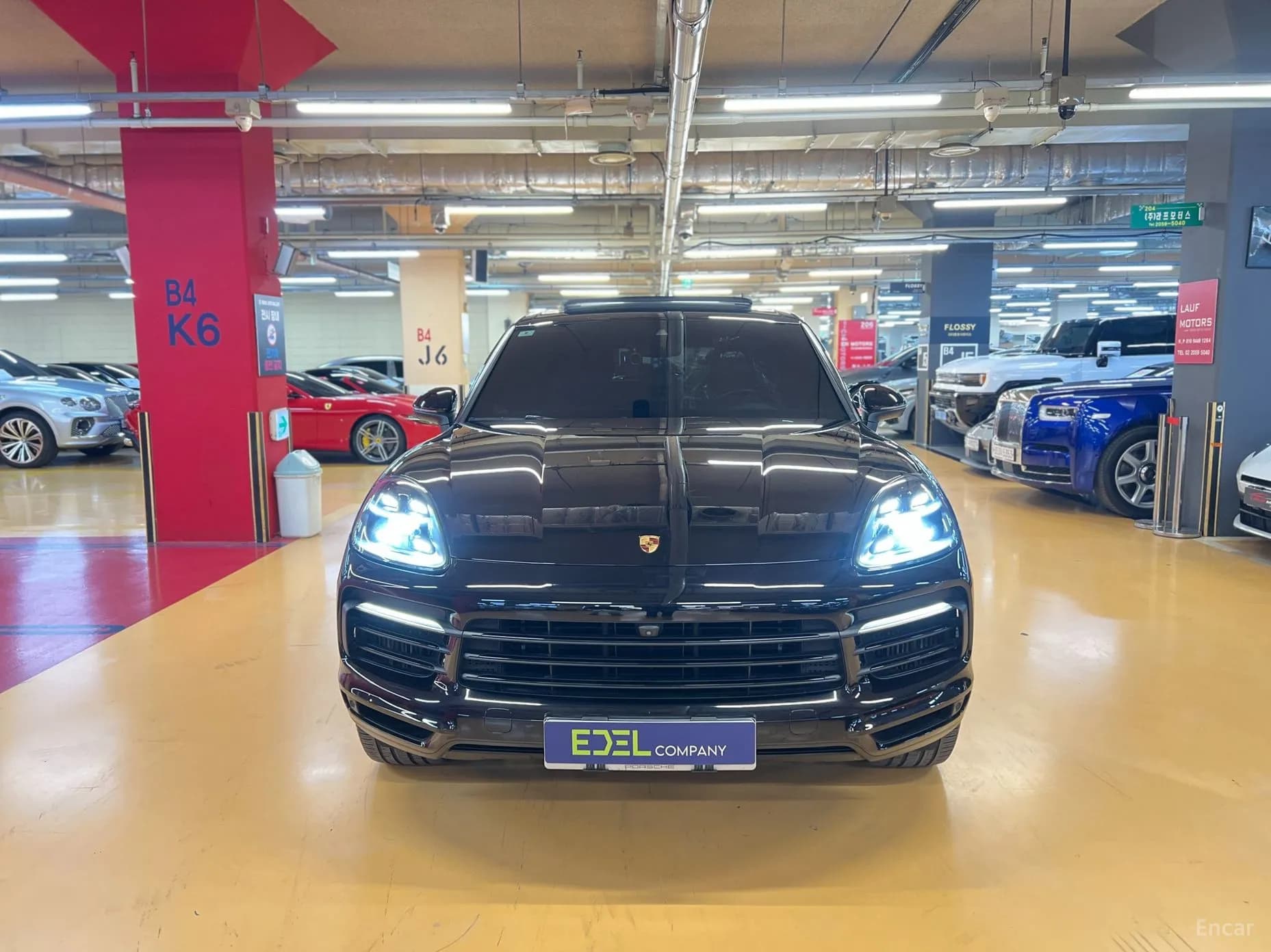 Cayenne (PO536)