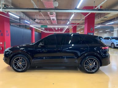 Cayenne (PO536)