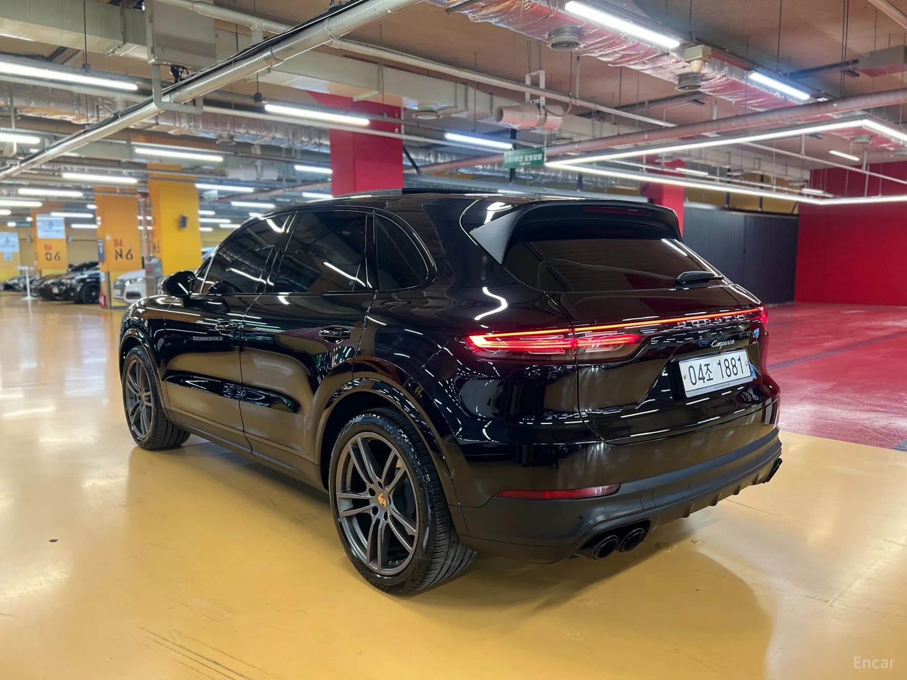 Cayenne (PO536)