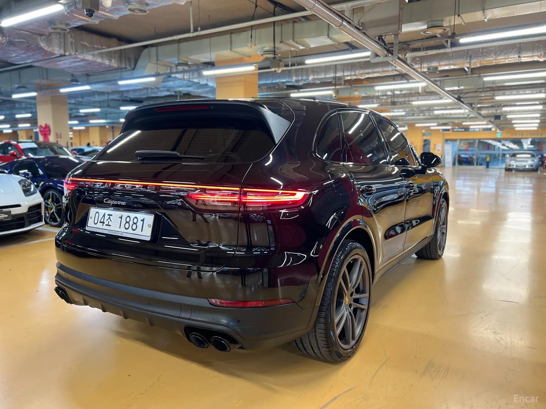Cayenne (PO536)