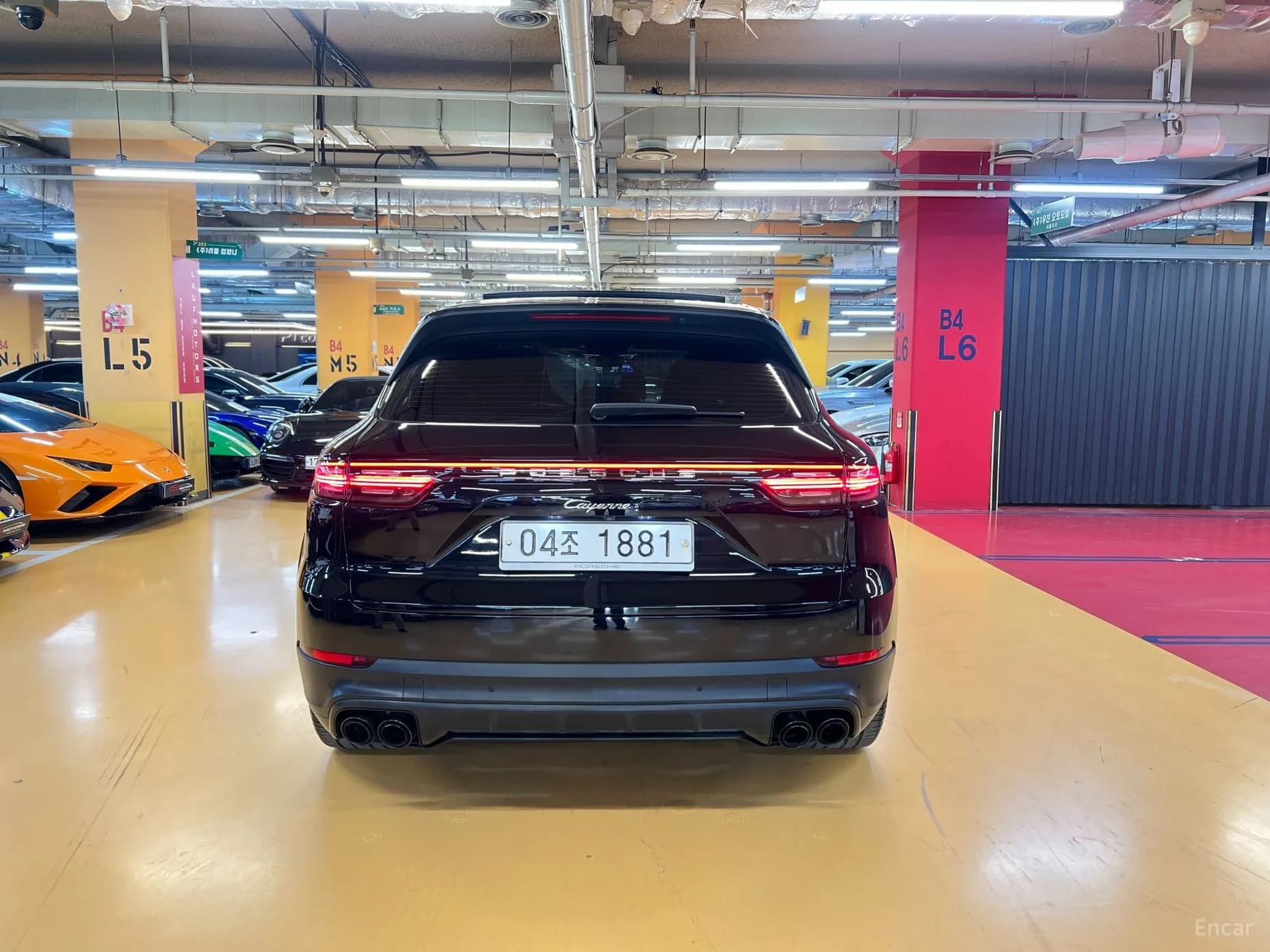 Cayenne (PO536)