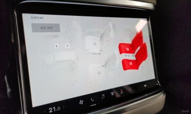Model X