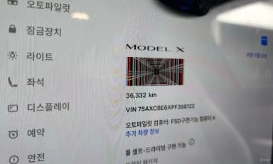 Model X