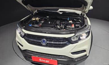 Rexton Sports
