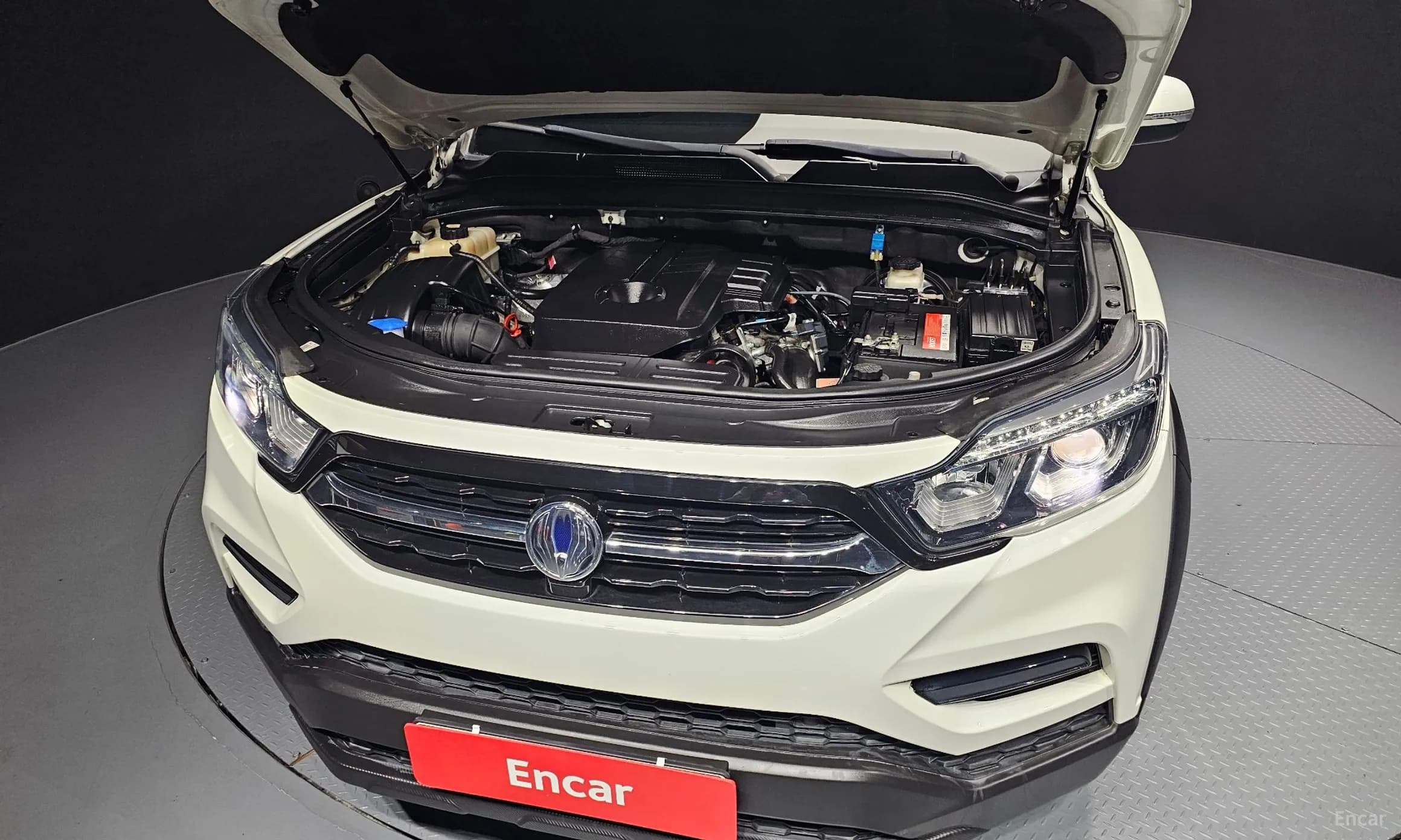 Rexton Sports