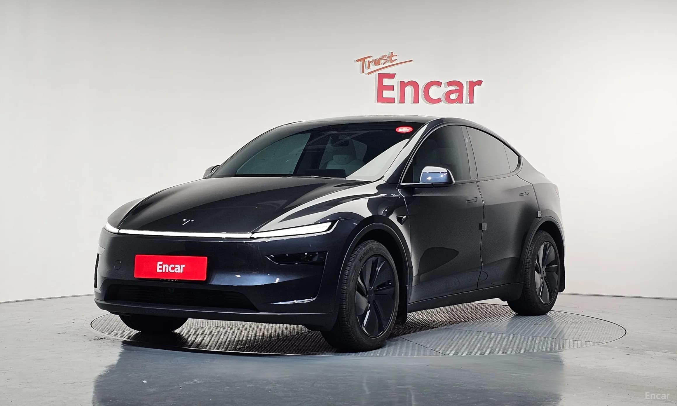 Model Y