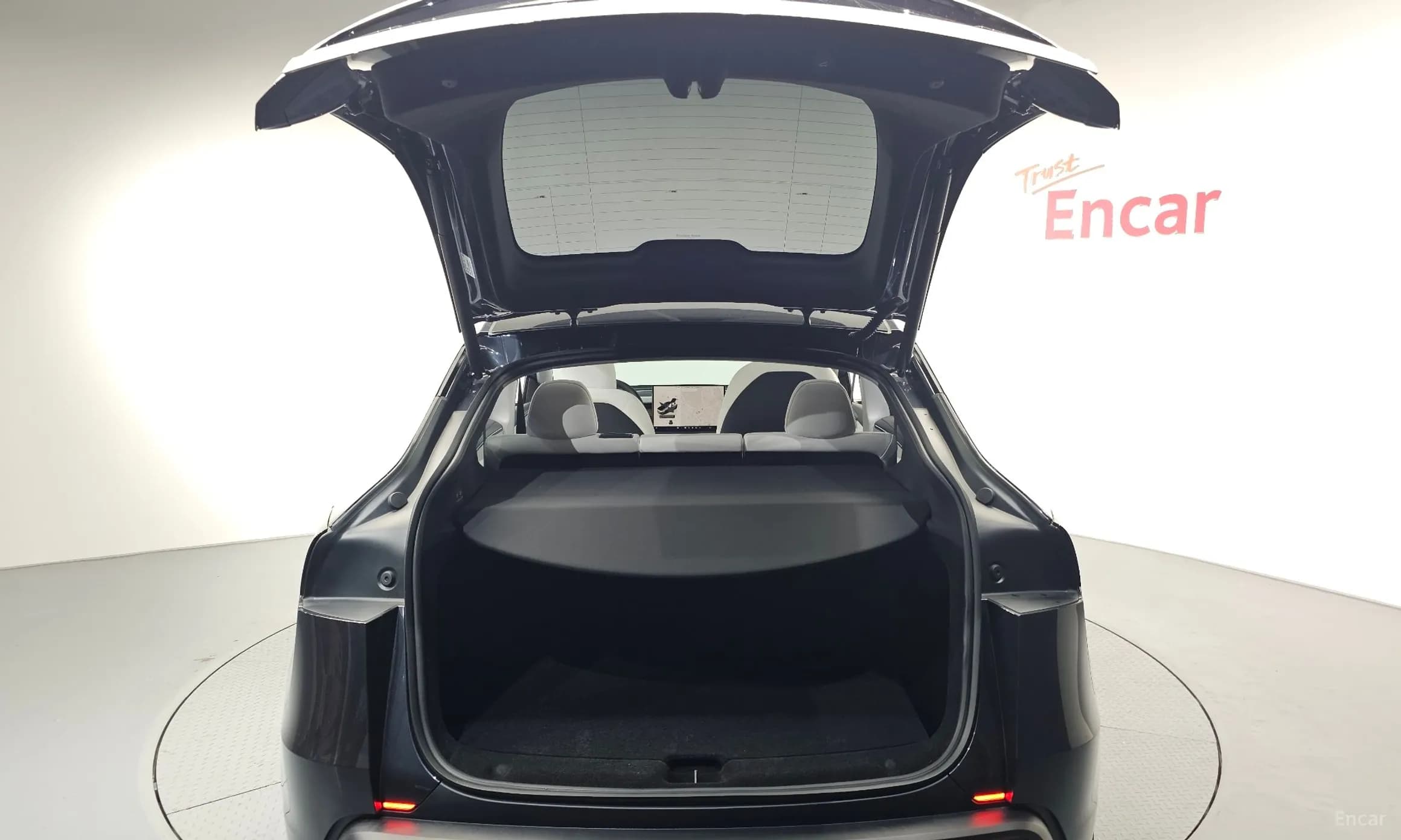 Model Y