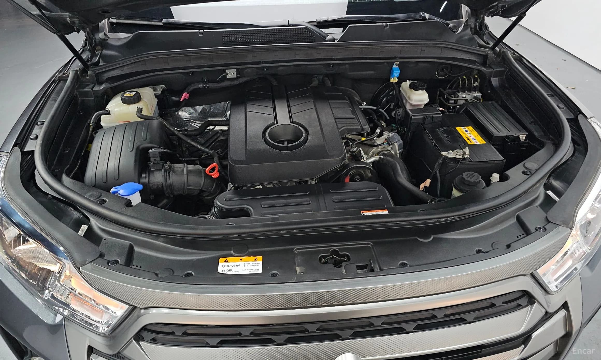 Rexton Sports