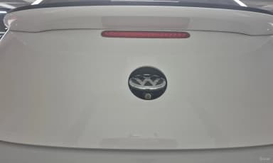 The Beetle