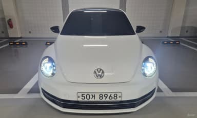 The Beetle