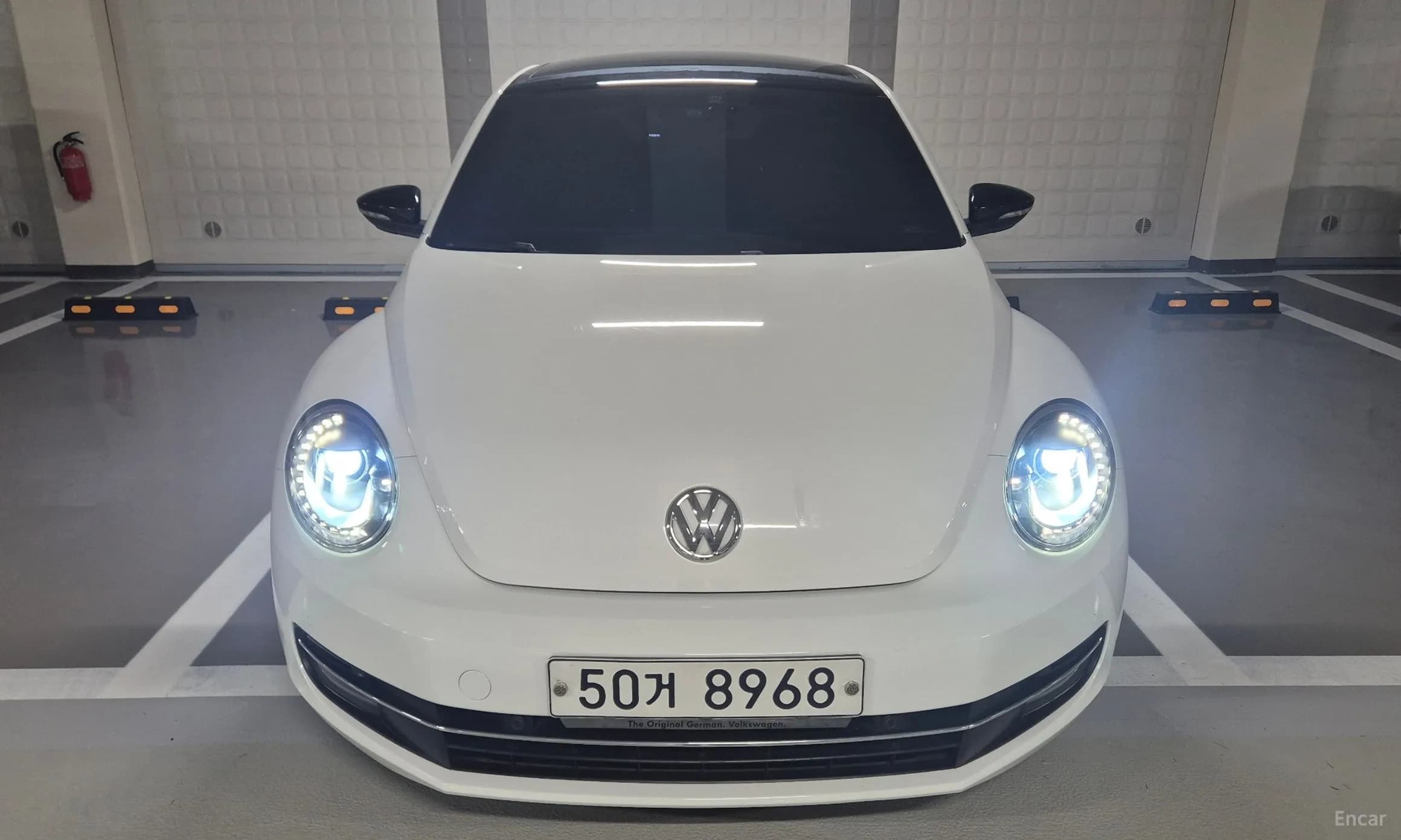 The Beetle