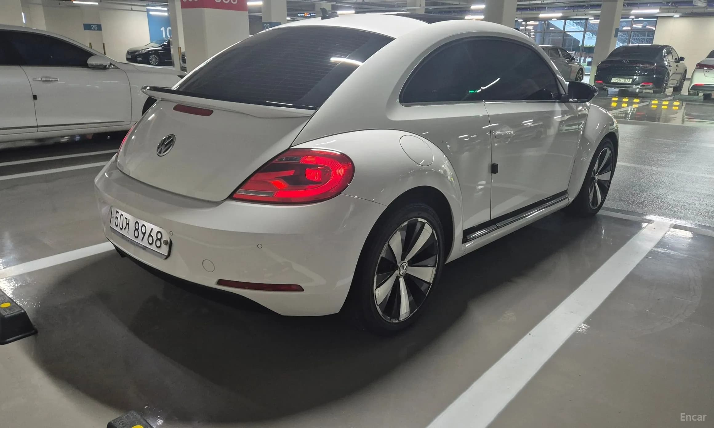 The Beetle