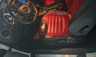 The Beetle