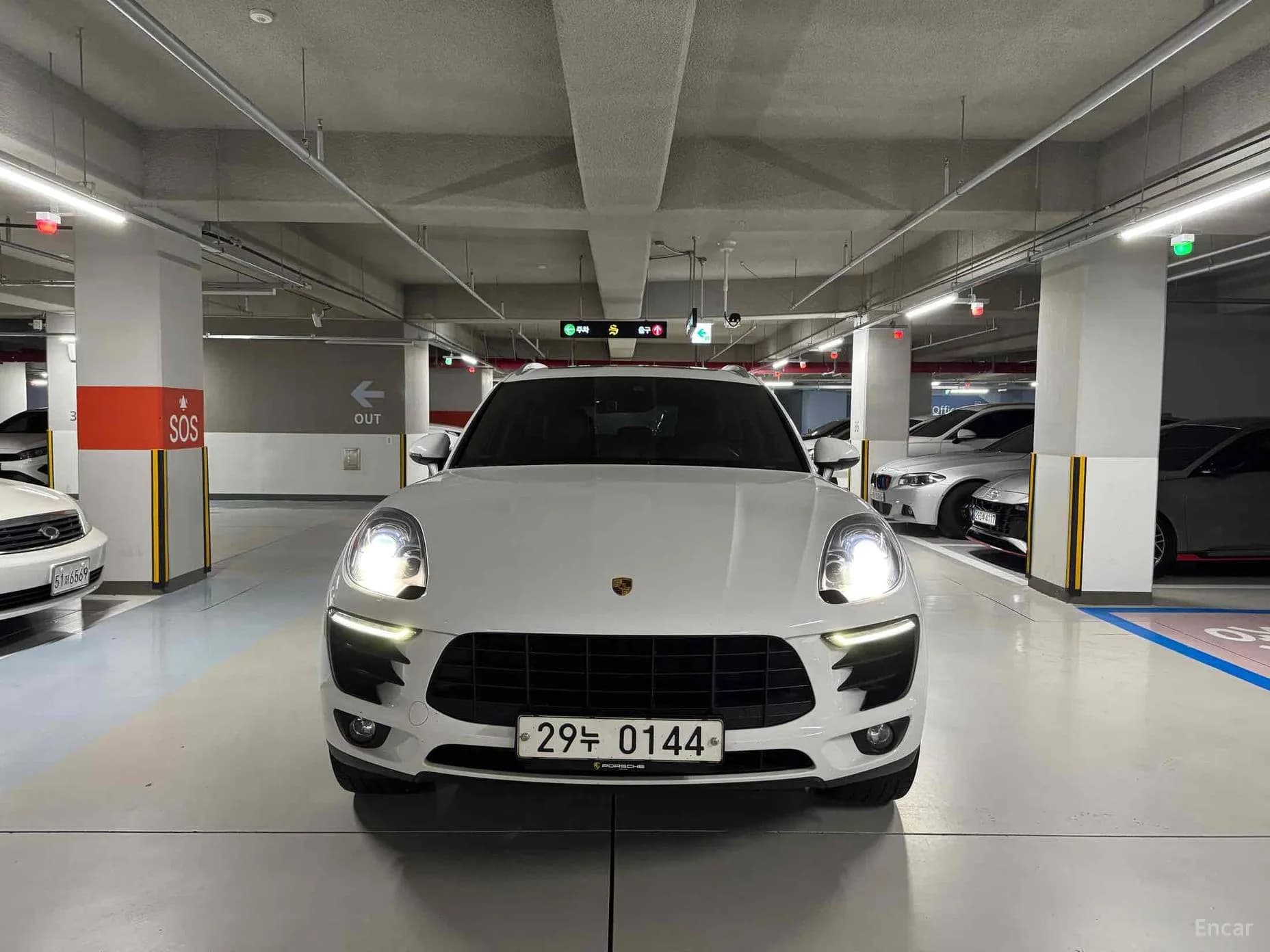 Macan