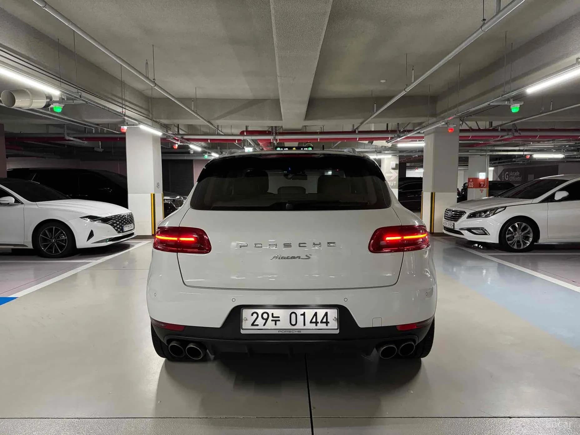 Macan