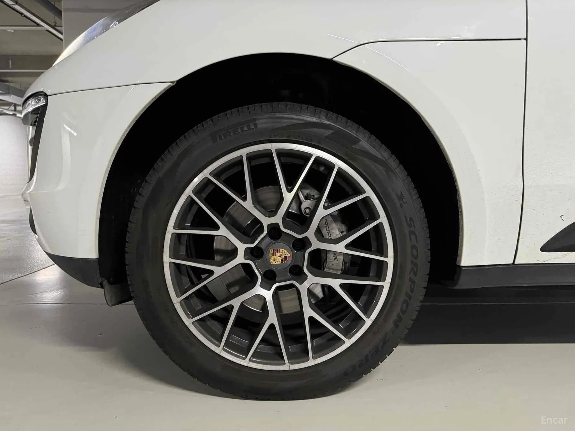 Macan