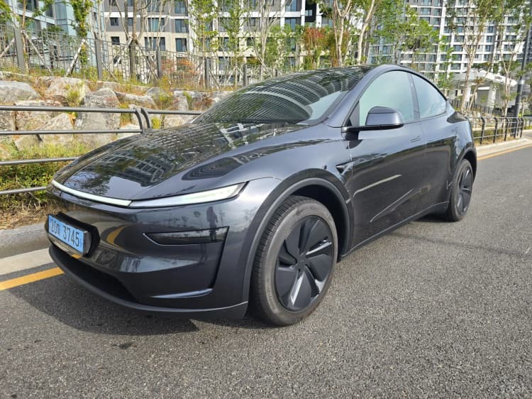 Model Y