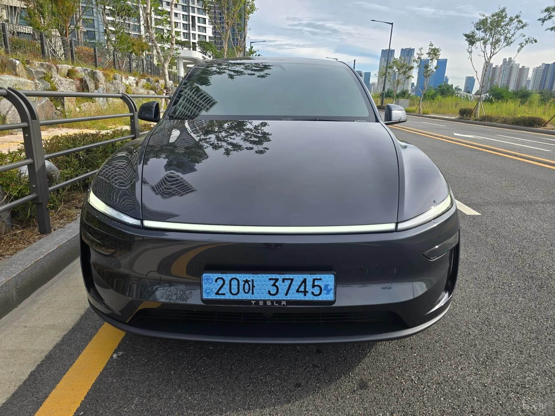 Model Y