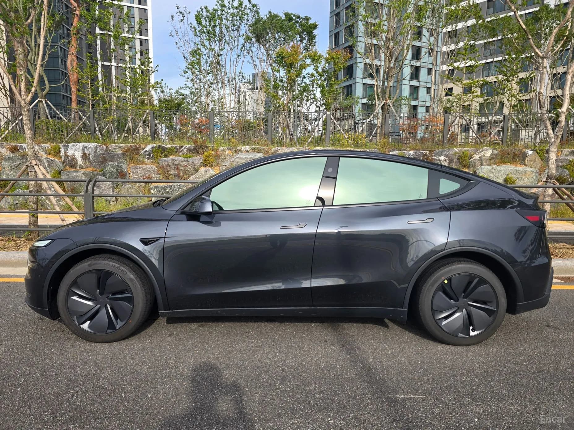 Model Y