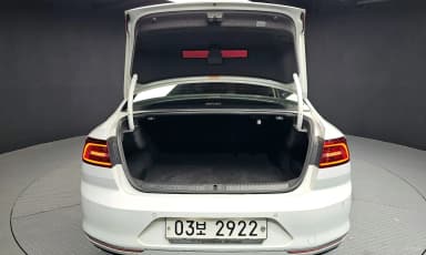 Passat GT (B8)
