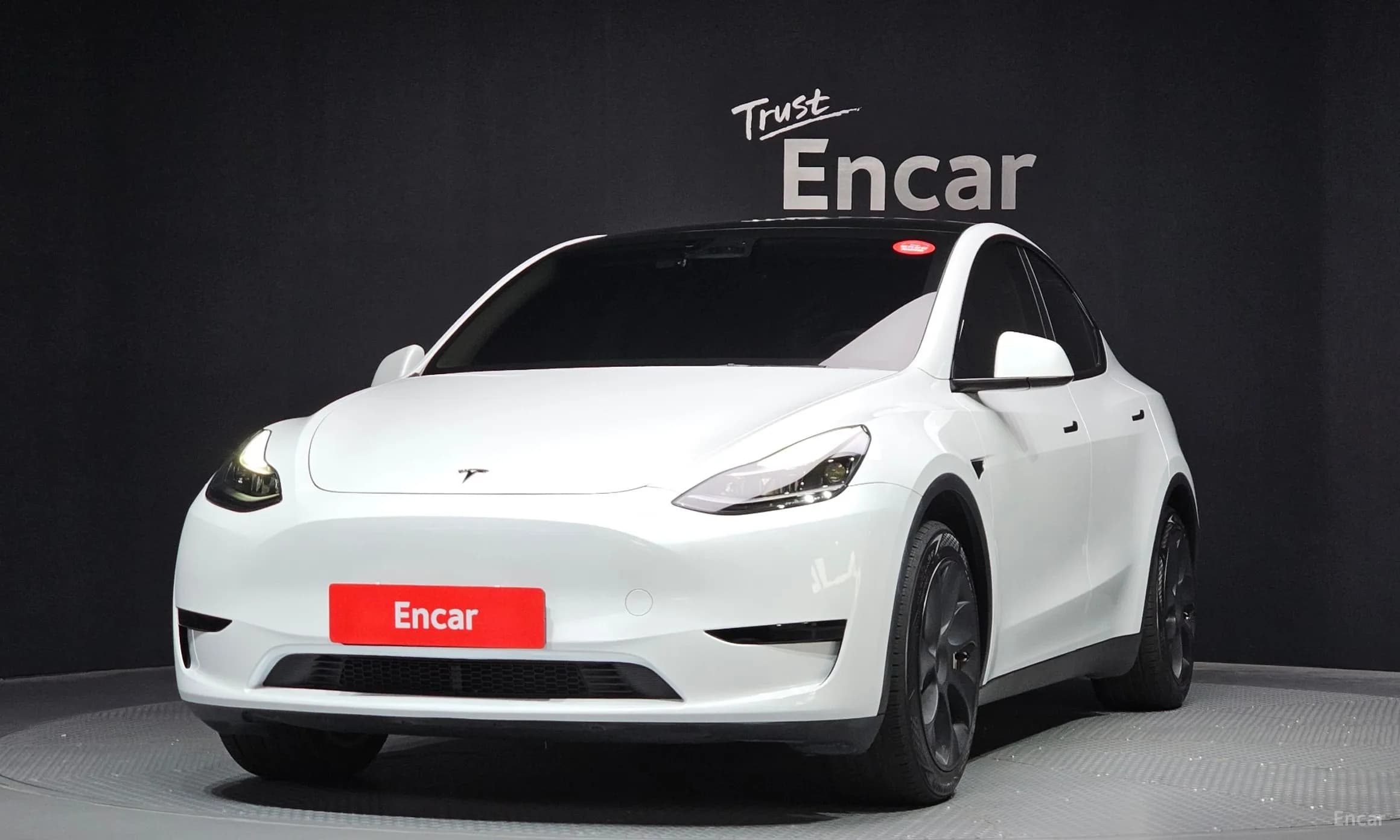Model Y