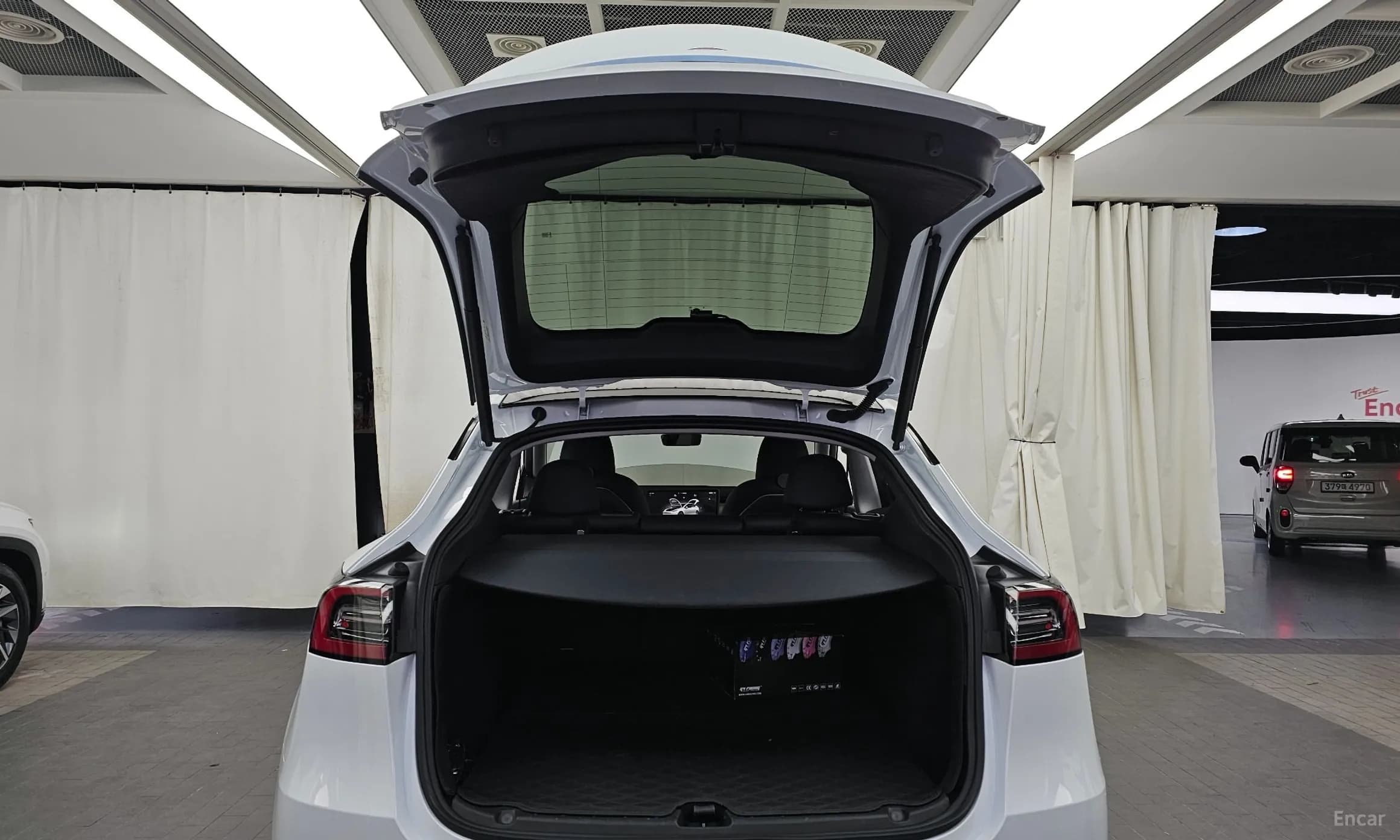 Model Y