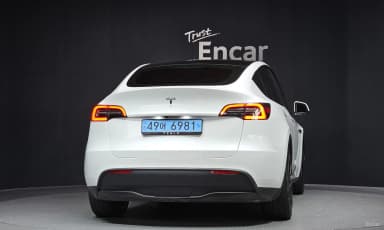 Model Y
